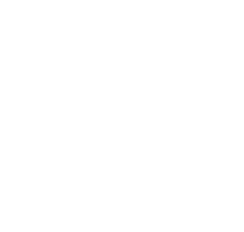 NozonDev logo